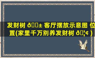 发财树 🐱 客厅摆放示意图 位置(家里千万别养发财树 🦢 )